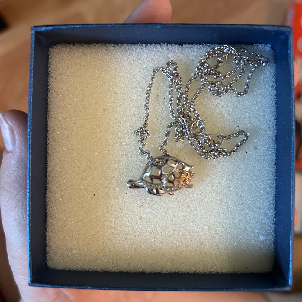 Crescent Silver Turtle Necklace